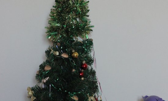 Частный дом престарелых «Забота и Уют» мкр-н Тенистый фото 4